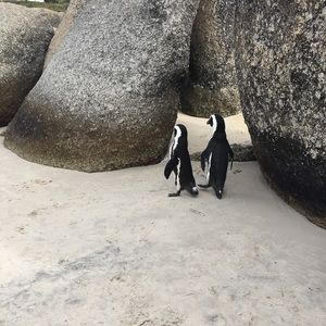 Meet your Posher, Dan